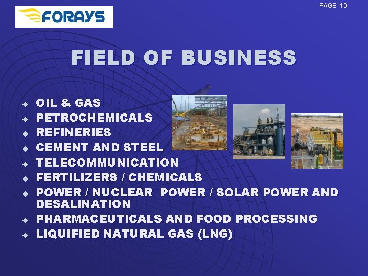 PAGE 10 FIELD OF BUSINESS u u u u u OIL & GAS PETROCHEMICALS