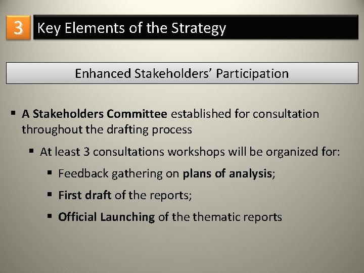 3 Key Elements of the Strategy Enhanced Stakeholders’ Participation § A Stakeholders Committee established