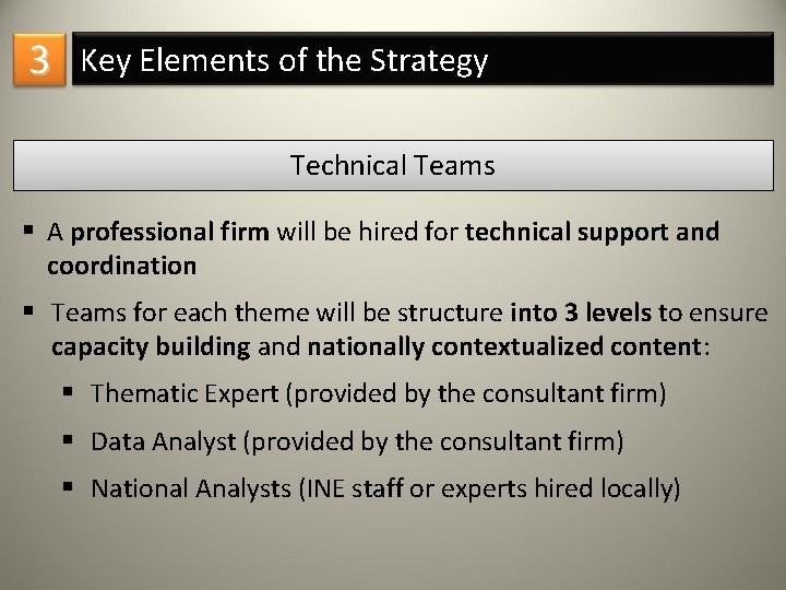 3 Key Elements of the Strategy Technical Teams § A professional firm will be