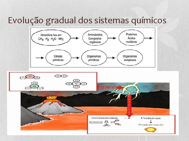 Evolução gradual dos sistemas químicos 