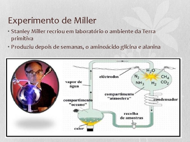 Experimento de Miller • Stanley Miller recriou em laboratório o ambiente da Terra primitiva