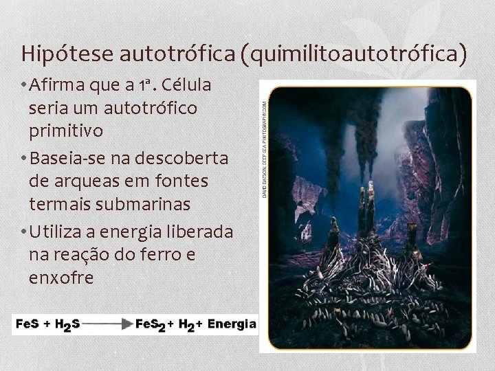 Hipótese autotrófica (quimilitoautotrófica) • Afirma que a 1ª. Célula seria um autotrófico primitivo •