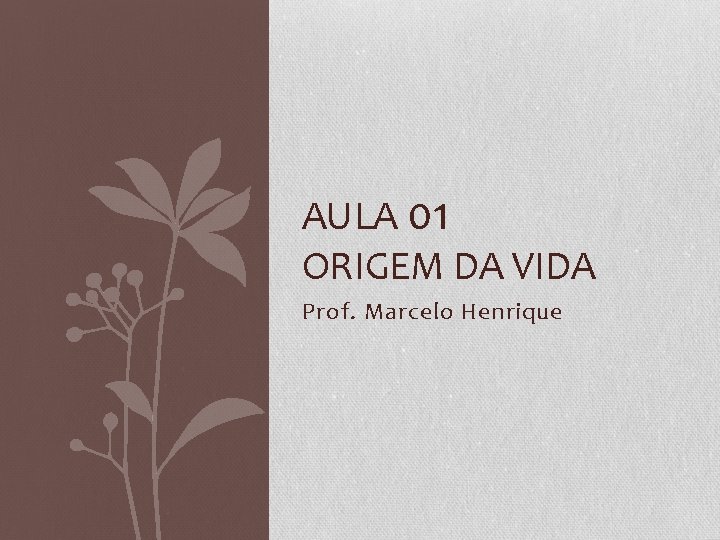 AULA 01 ORIGEM DA VIDA Prof. Marcelo Henrique 