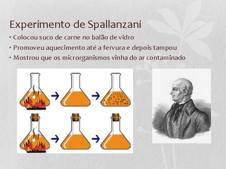 Experimento de Spallanzani • Colocou suco de carne no balão de vidro • Promoveu