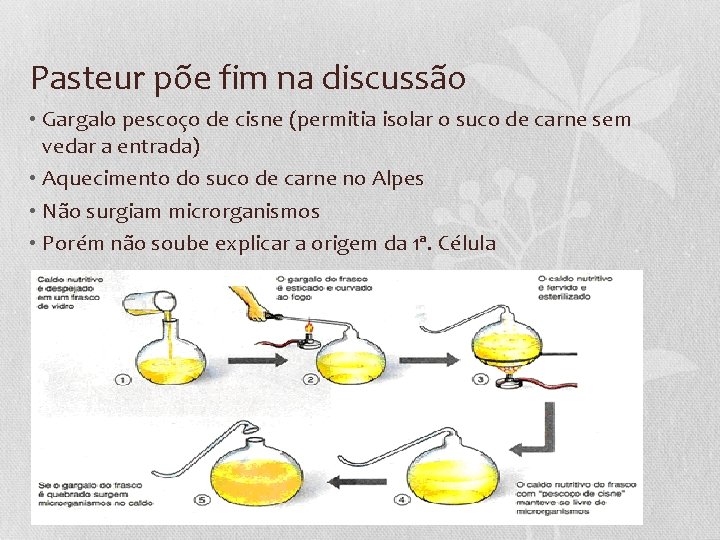 Pasteur põe fim na discussão • Gargalo pescoço de cisne (permitia isolar o suco