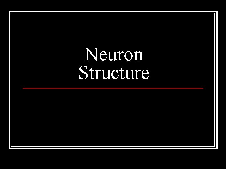 Neuron Structure 