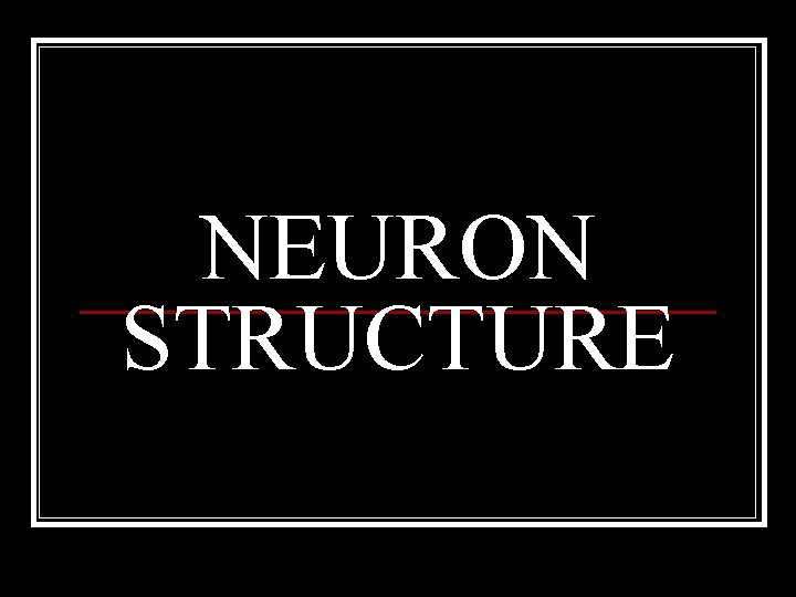 NEURON STRUCTURE 