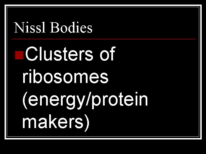 Nissl Bodies n. Clusters of ribosomes (energy/protein makers) 