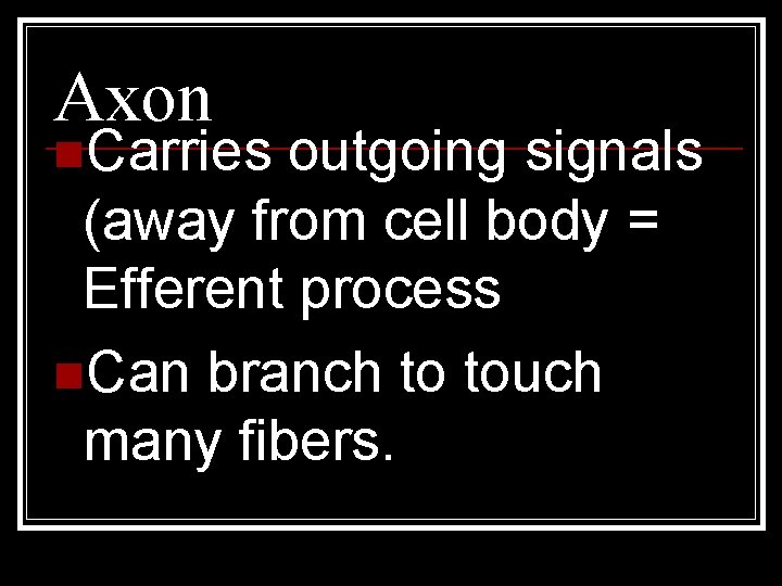 Axon n. Carries outgoing signals (away from cell body = Efferent process n. Can