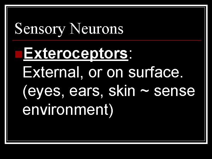 Sensory Neurons n. Exteroceptors: External, or on surface. (eyes, ears, skin ~ sense environment)