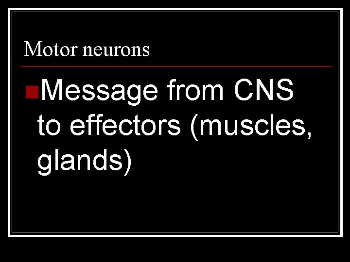 Motor neurons n. Message from CNS to effectors (muscles, glands) 