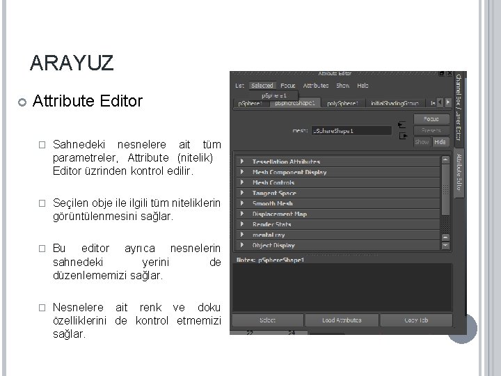 ARAYUZ Attribute Editor � Sahnedeki nesnelere ait tüm parametreler, Attribute (nitelik) Editor üzrinden kontrol