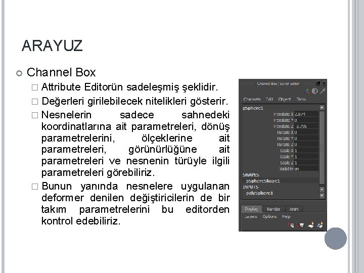 ARAYUZ Channel Box � Attribute Editorün sadeleşmiş şeklidir. � Değerleri girilebilecek nitelikleri gösterir. �