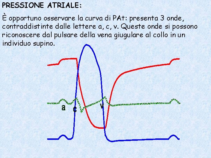 PRESSIONE ATRIALE: È opportuno osservare la curva di PAt: presenta 3 onde, contraddistinte dalle