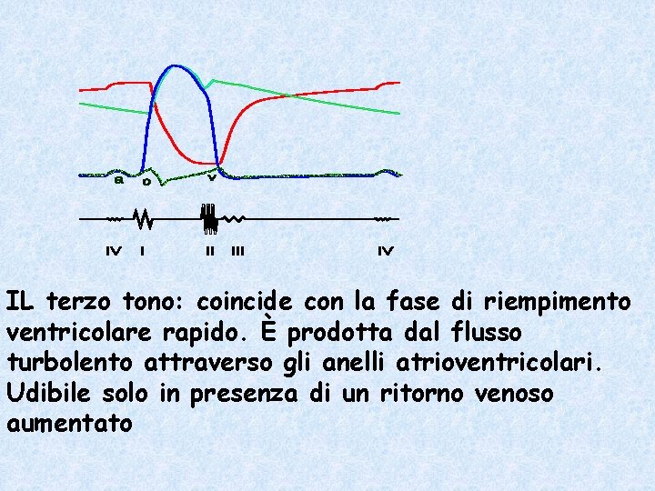 IL terzo tono: coincide con la fase di riempimento ventricolare rapido. È prodotta dal