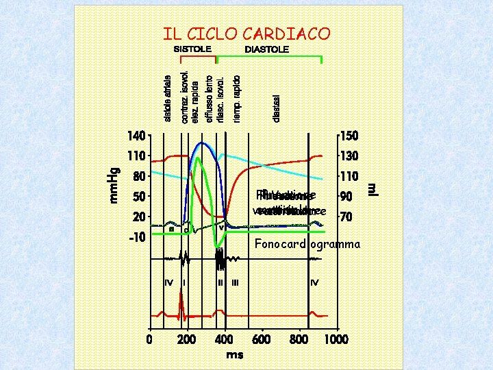 IL CICLO CARDIACO Pressione Flusso Pressione Volume atriale aortico ventricolare aortica Fonocardiogramma 