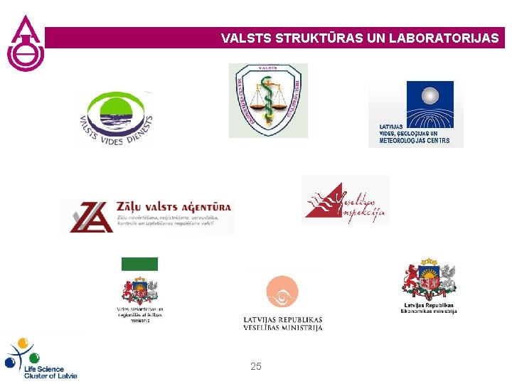 VALSTS STRUKTŪRAS UN LABORATORIJAS 25 