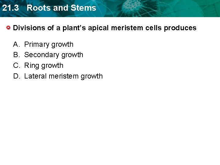 21. 3 Roots and Stems Divisions of a plant’s apical meristem cells produces A.