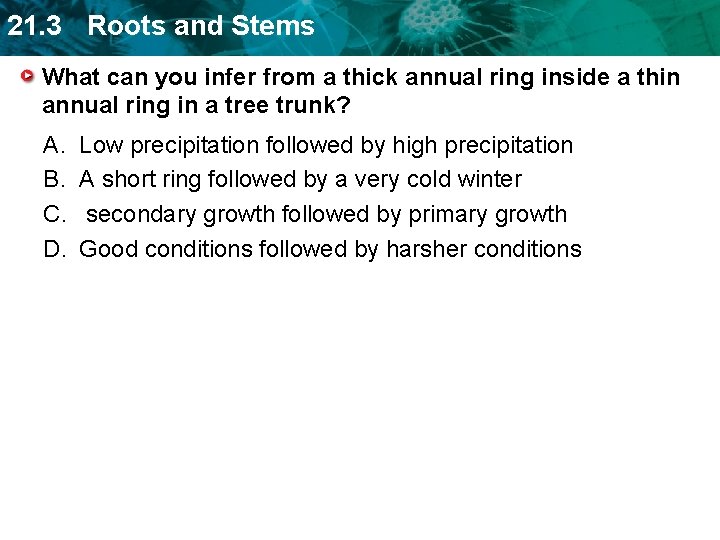 21. 3 Roots and Stems What can you infer from a thick annual ring