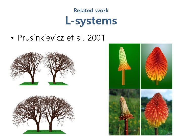 Related work L-systems • Prusinkievicz et al. 2001 