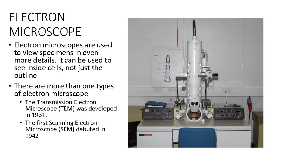 ELECTRON MICROSCOPE • Electron microscopes are used to view specimens in even more details.