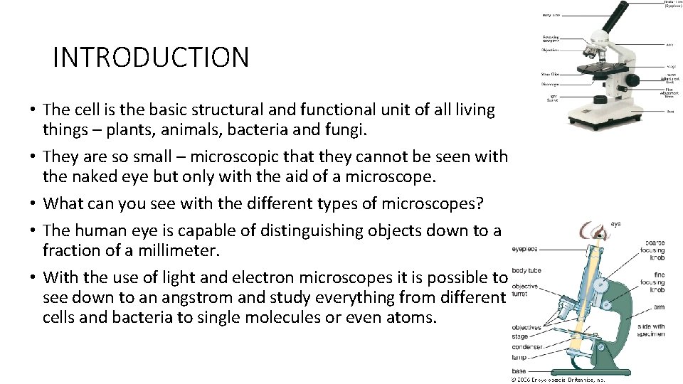 INTRODUCTION • The cell is the basic structural and functional unit of all living