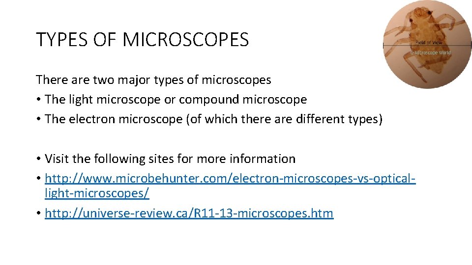 TYPES OF MICROSCOPES There are two major types of microscopes • The light microscope