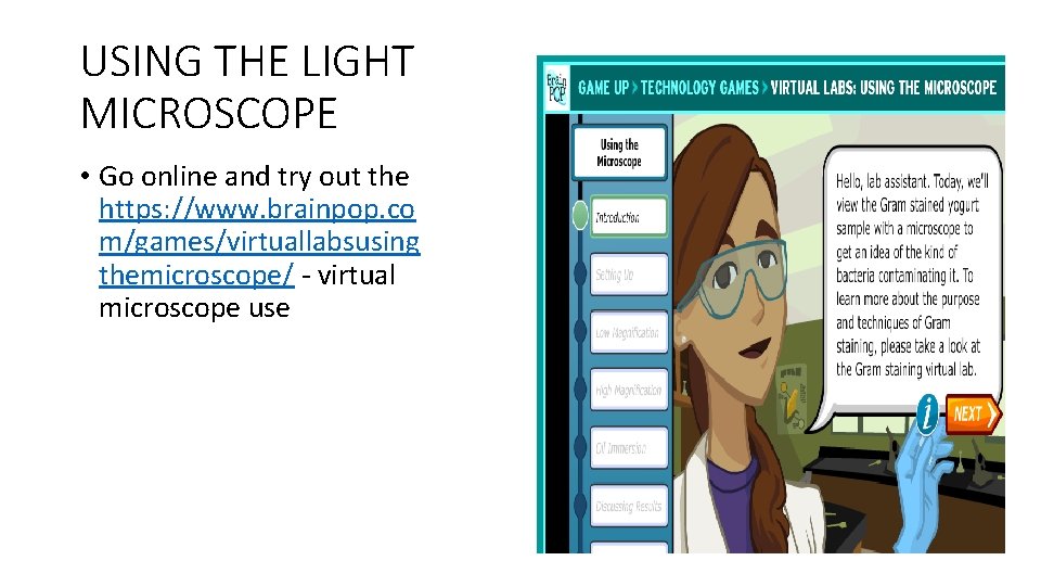 USING THE LIGHT MICROSCOPE • Go online and try out the https: //www. brainpop.