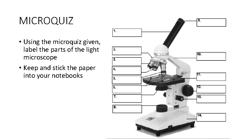 MICROQUIZ • Using the microquiz given, label the parts of the light microscope •