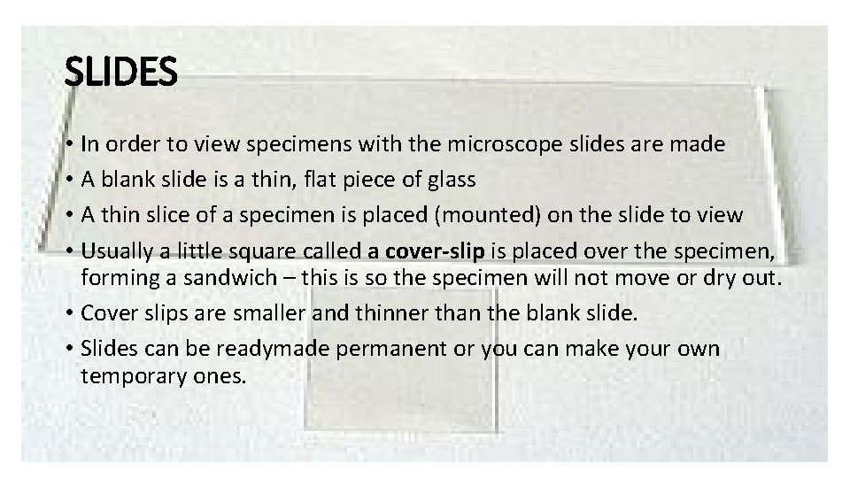 SLIDES • In order to view specimens with the microscope slides are made •