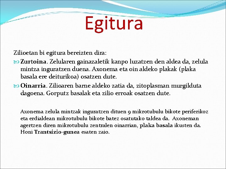 Egitura Zilioetan bi egitura bereizten dira: Zurtoina. Zelularen gainazaletik kanpo luzatzen den aldea da,