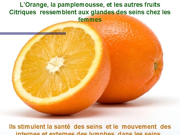 L’Orange, la pamplemousse, et les autres fruits Citriques ressemblent aux glandes seins chez les