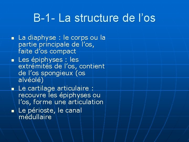 B-1 - La structure de l’os n n La diaphyse : le corps ou
