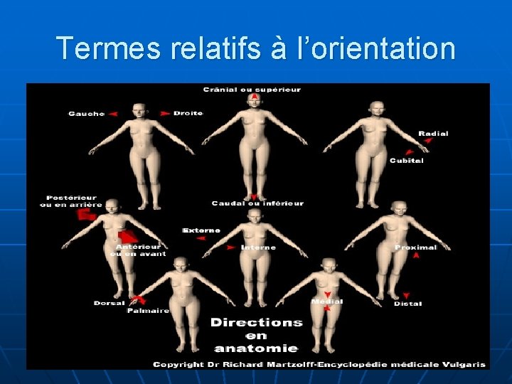 Termes relatifs à l’orientation 