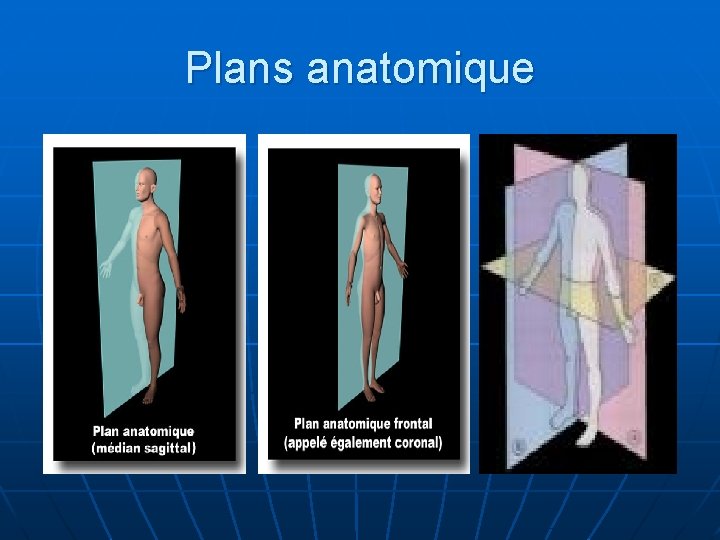 Plans anatomique 