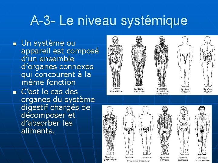A-3 - Le niveau systémique n n Un système ou appareil est composé d’un