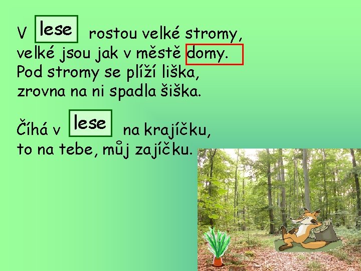 V lese rostou velké stromy, velké jsou jak v městě domy. Pod stromy se