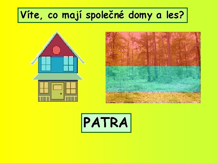 Víte, co mají společné domy a les? PATRA 