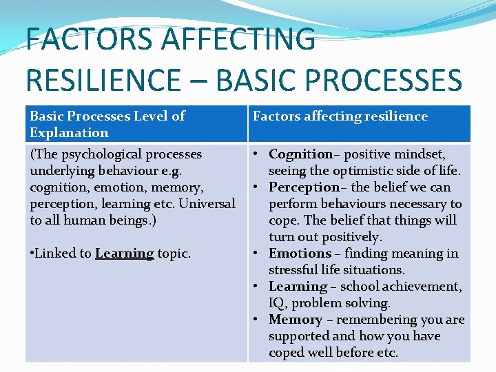 FACTORS AFFECTING RESILIENCE – BASIC PROCESSES Basic Processes Level of Explanation Factors affecting resilience