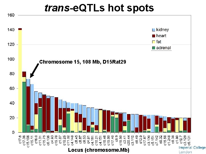 trans-e. QTLs hot spots Chromosome 15, 108 Mb, D 15 Rat 29 Locus (chromosome.