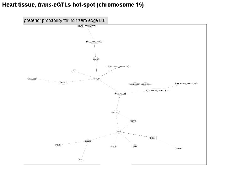Heart tissue, trans-e. QTLs hot-spot (chromosome 15) posterior probability for non-zero edge 0. 8