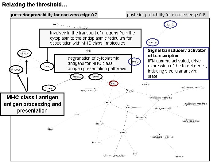 Relaxing the threshold… posterior probability for non-zero edge 0. 7 posterior probability for directed