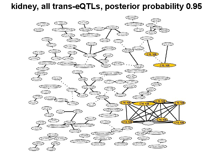 kidney, all trans-e. QTLs, posterior probability 0. 95 C 15. 108 C 15. 108