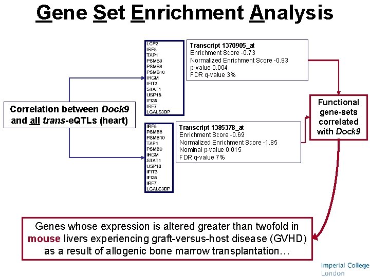 Gene Set Enrichment Analysis Transcript 1370905_at Enrichment Score -0. 73 Normalized Enrichment Score -0.