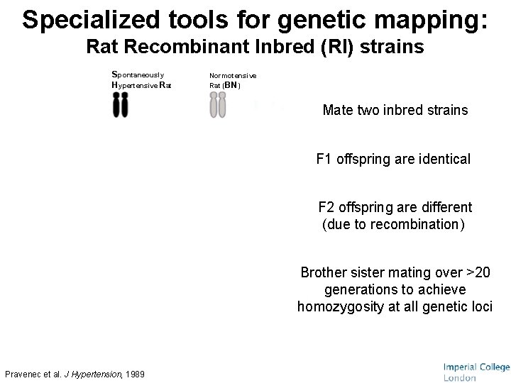 Specialized tools for genetic mapping: Rat Recombinant Inbred (RI) strains Spontaneously Hypertensive Rat Normotensive