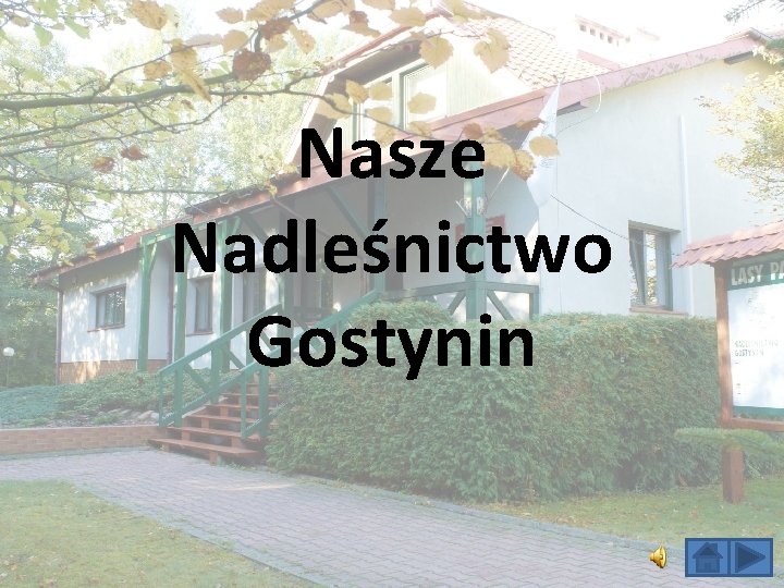 Nasze Nadleśnictwo Gostynin 