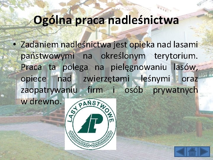 Ogólna praca nadleśnictwa • Zadaniem nadleśnictwa jest opieka nad lasami państwowymi na określonym terytorium.