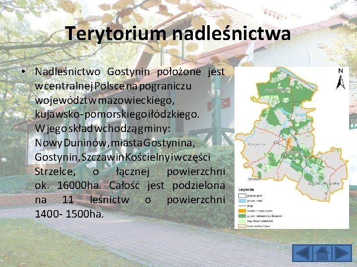 Terytorium nadleśnictwa • Nadleśnictwo Gostynin położone jest w centralnej Polsce na pograniczu województw mazowieckiego,