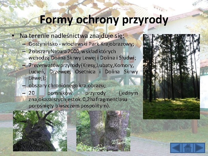 Formy ochrony przyrody • Na terenie nadleśnictwa znajduje się: – Gostynińsko - włocławski Park