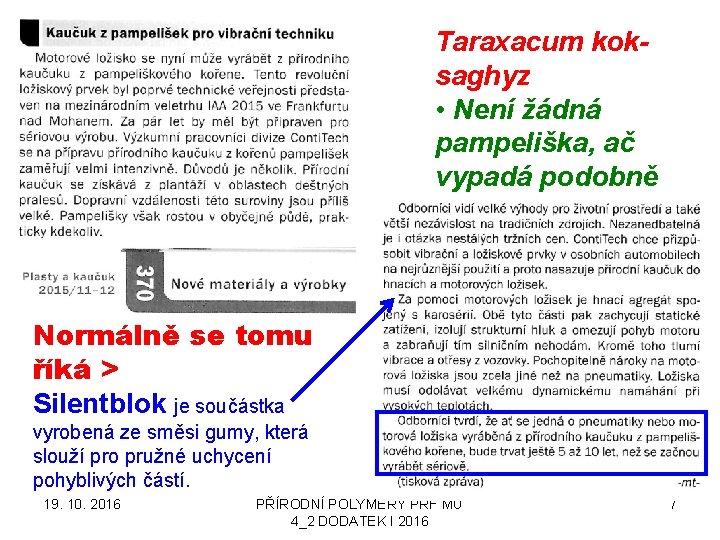 Taraxacum koksaghyz • Není žádná pampeliška, ač vypadá podobně Normálně se tomu říká >